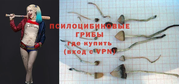 spice Балабаново
