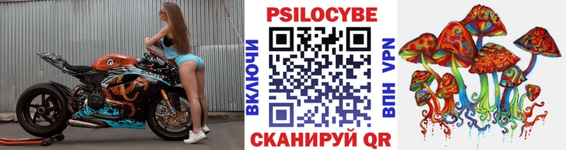 Псилоцибиновые грибы ЛСД Озёры